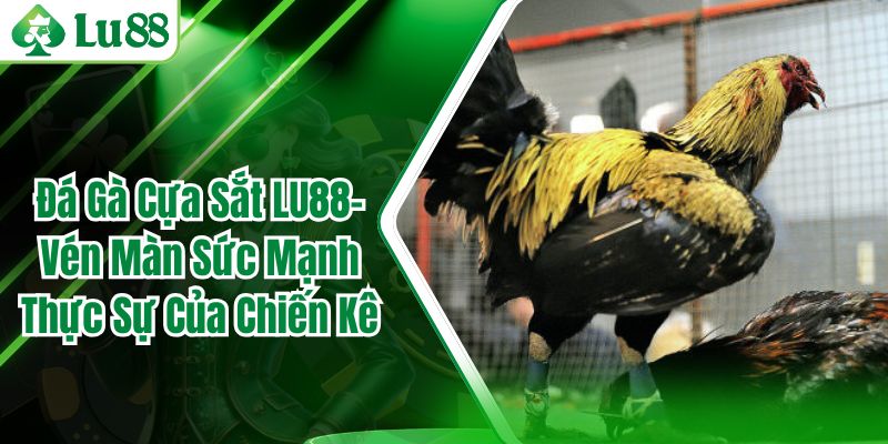 Đá Gà Cựa Sắt LU88– Vén Màn Sức Mạnh Thực Sự Của Chiến Kê