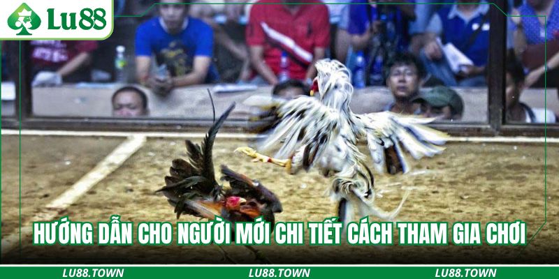 Hướng dẫn cho người mới chi tiết cách tham gia chơi